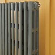 Victoriana Cast Iron Radiator 3 Column Range by Paladin gallery detail image