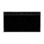 Falcon Classic 110cm Induction Range Cooker gallery detail image