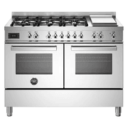 20cm Professional Series Dual Fuel Cooker - Stainless Steel gallery detail image