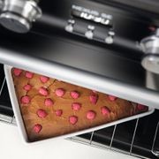 Falcon Nexus SE 110cm Dual Fuel Range Cooker gallery detail image