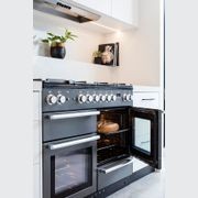 Falcon Nexus 110cm Dual Fuel Range Cooker gallery detail image