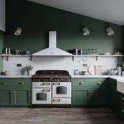 Falcon | Classic Deluxe 110 Range Cooker gallery detail image