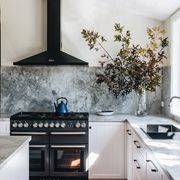 Falcon Nexus SE 110cm Dual Fuel Range Cooker gallery detail image