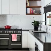 Falcon Nexus 110cm Dual Fuel Range Cooker gallery detail image