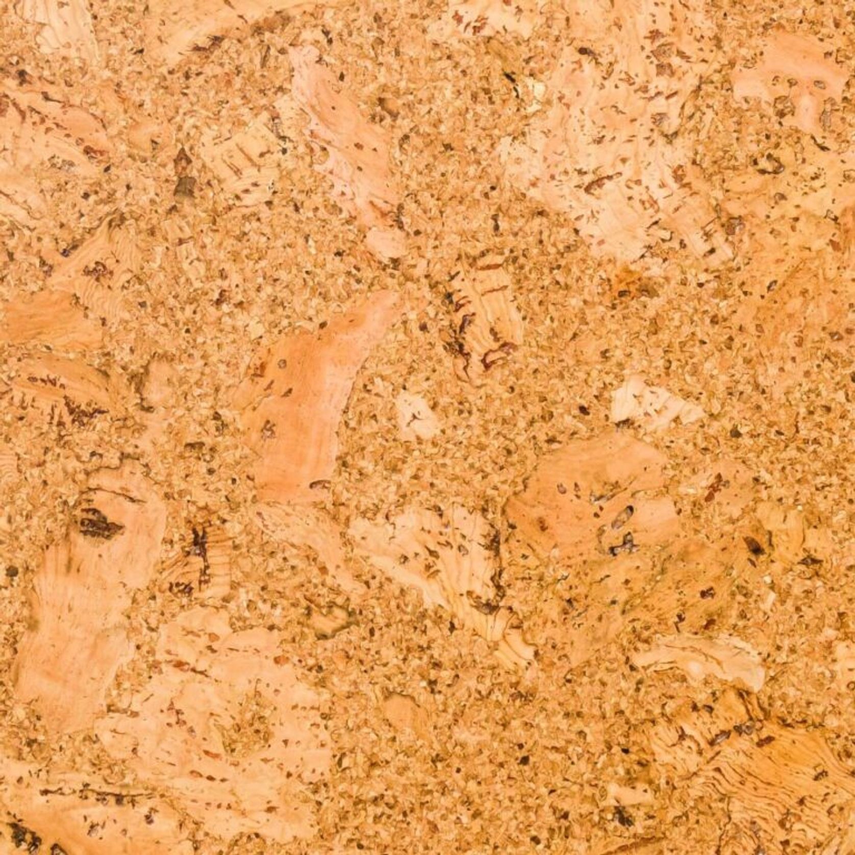 New Generation Cork gallery detail image
