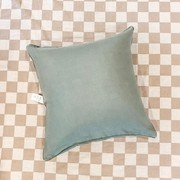 100% French Flax Linen Feather filled Cushion- Lichen gallery detail image