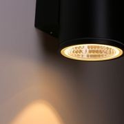 Orion Exterior Wall Light gallery detail image