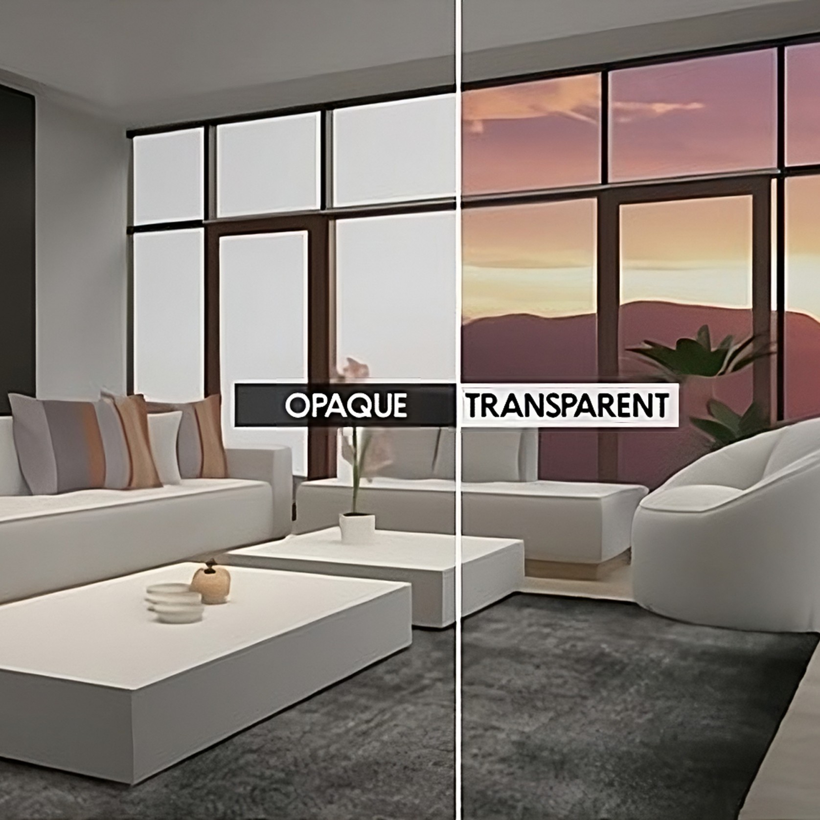 Switchable Glass gallery detail image