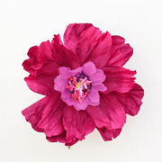 Two Toned Crepe Paper Flower gallery detail image