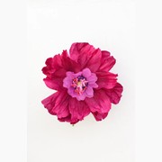 Two Toned Crepe Paper Flower gallery detail image