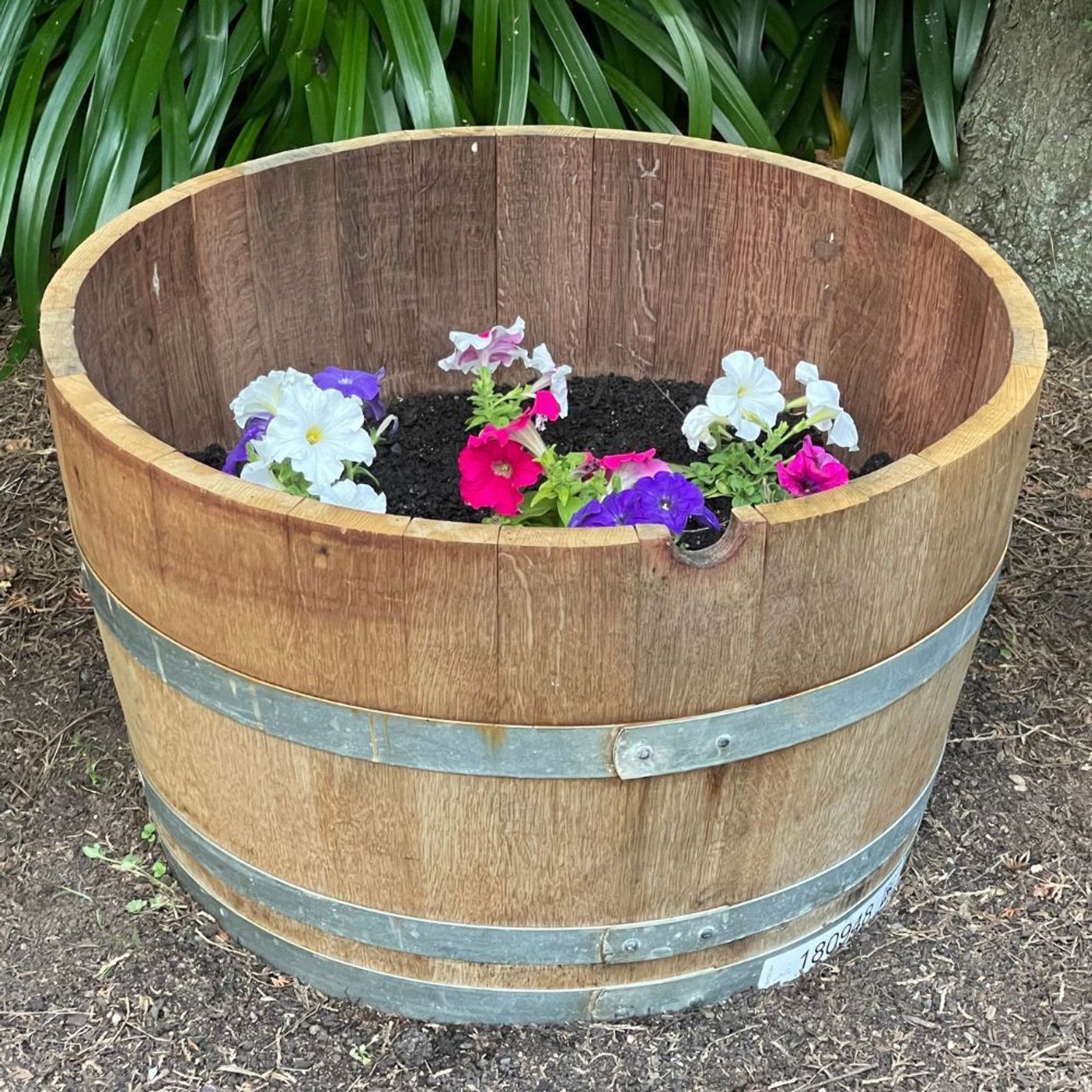 Wine Barrel (Half) ArchiPro NZ