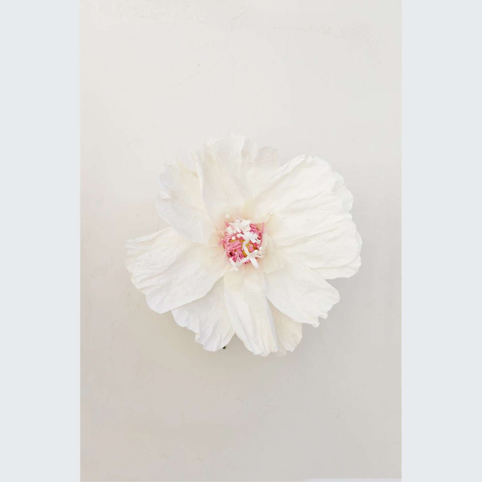 Two Toned Crepe Paper Flower gallery detail image