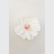 Two Toned Crepe Paper Flower gallery detail image