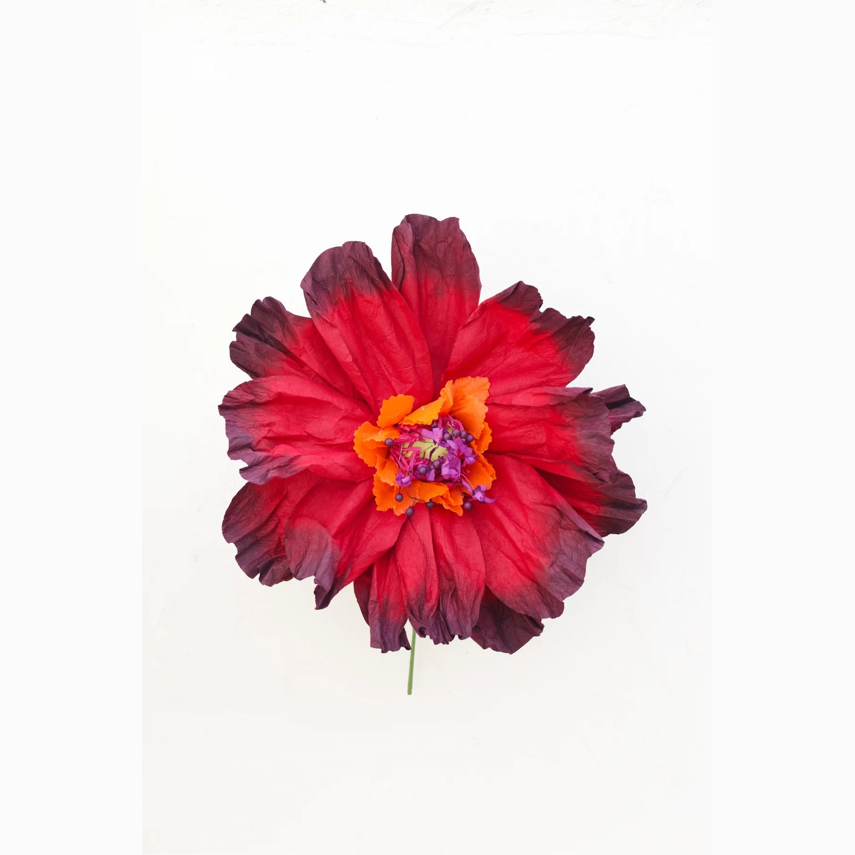 Two Toned Crepe Paper Flower gallery detail image