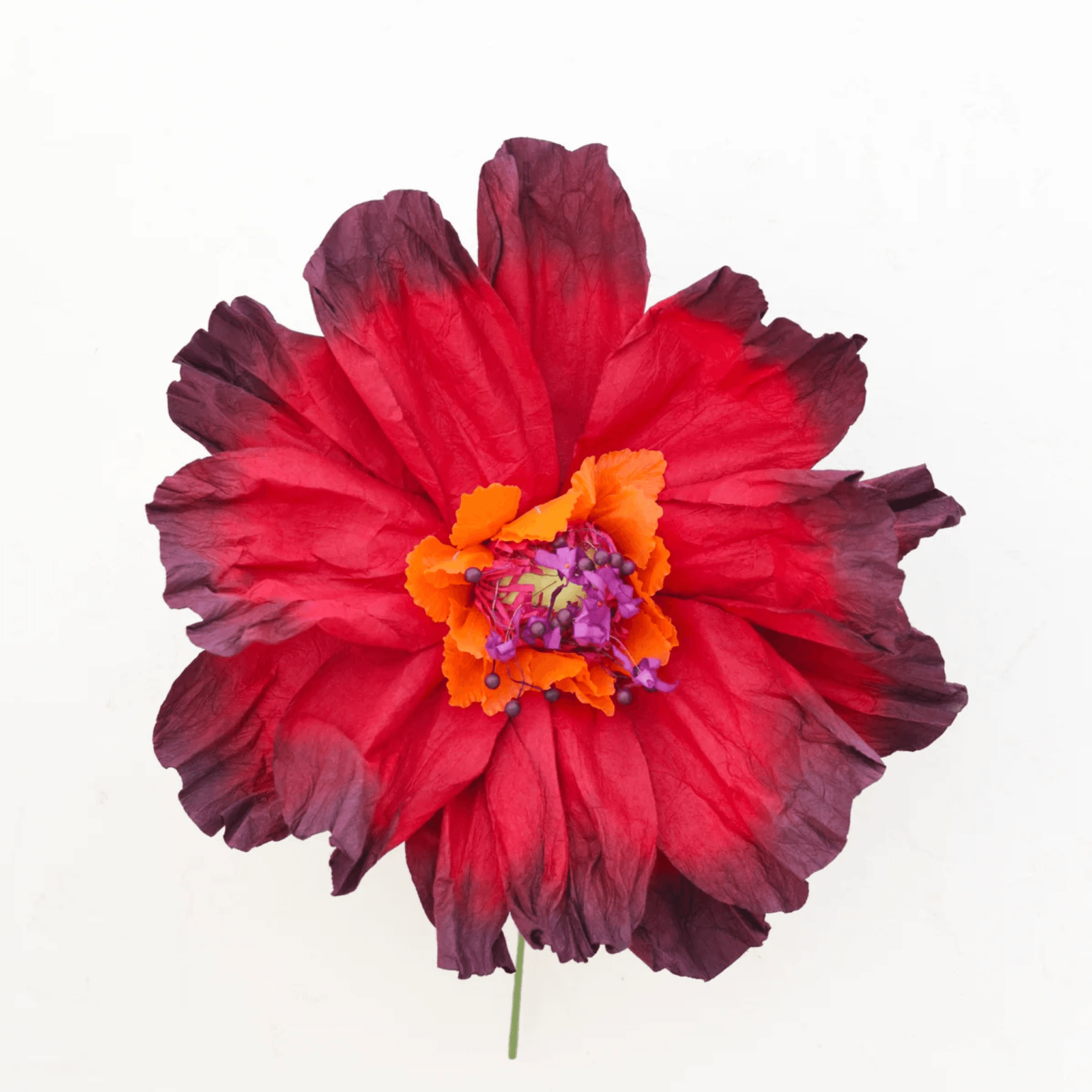 Two Toned Crepe Paper Flower gallery detail image