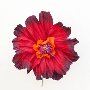 Two Toned Crepe Paper Flower gallery detail image