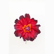 Two Toned Crepe Paper Flower gallery detail image