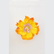 Two Toned Crepe Paper Flower gallery detail image