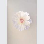 Two Toned Crepe Paper Flower gallery detail image