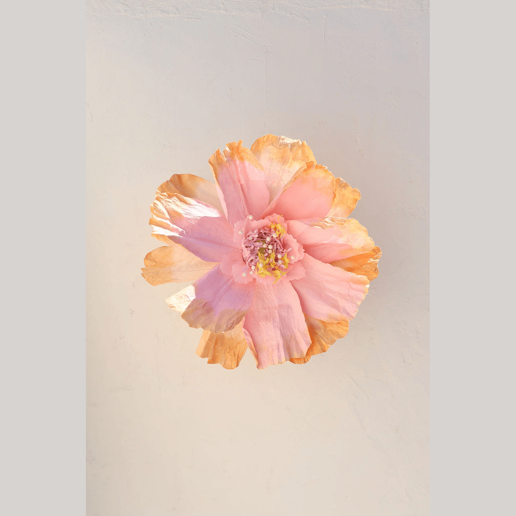 Two Toned Crepe Paper Flower gallery detail image