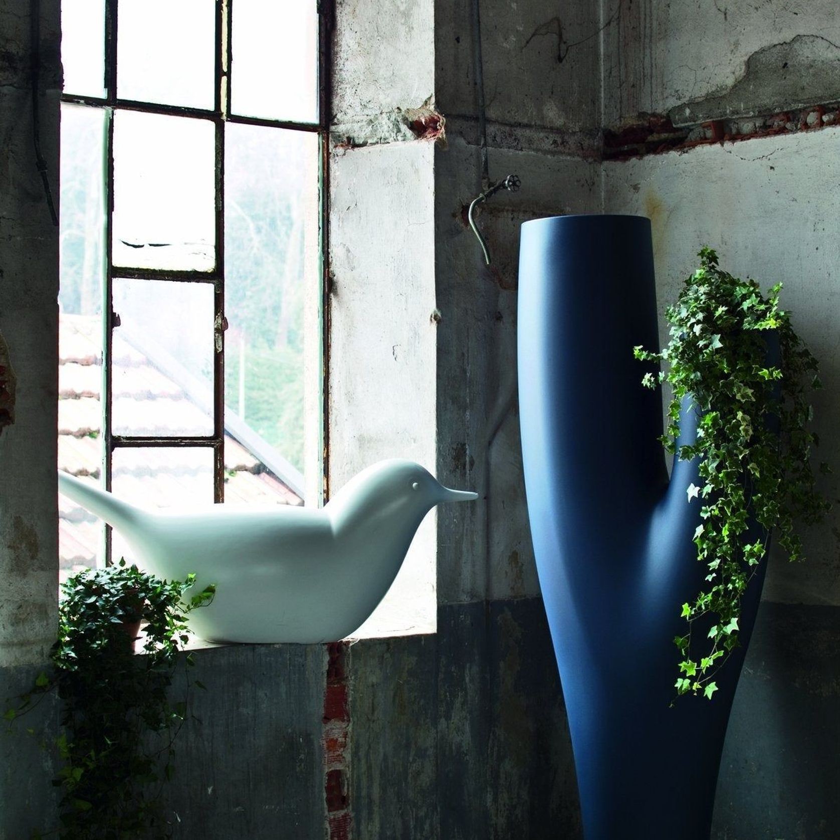 Paloma gallery detail image
