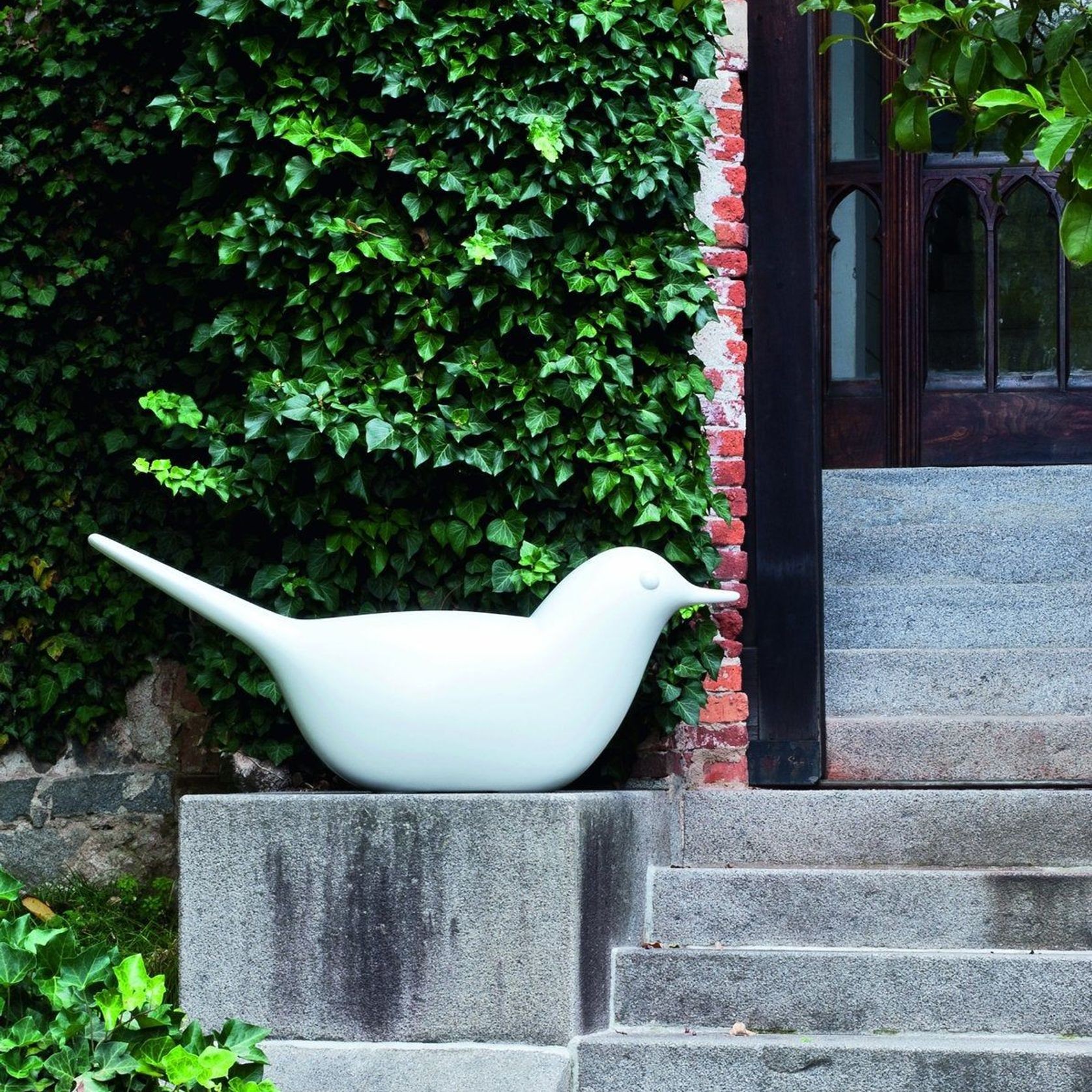 Paloma gallery detail image
