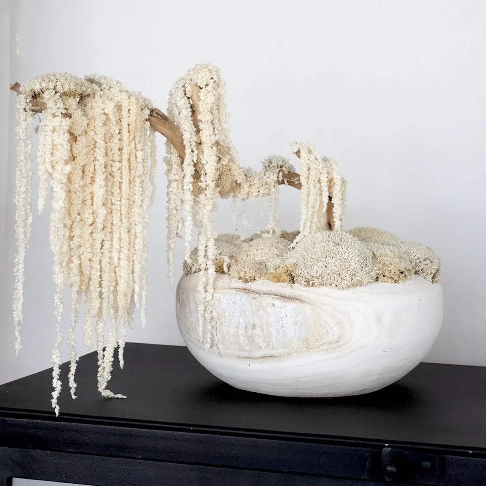 Ivory Moss Bonsai Tree gallery detail image