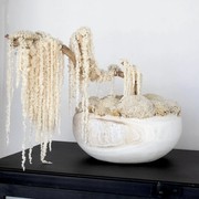 Ivory Moss Bonsai Tree gallery detail image