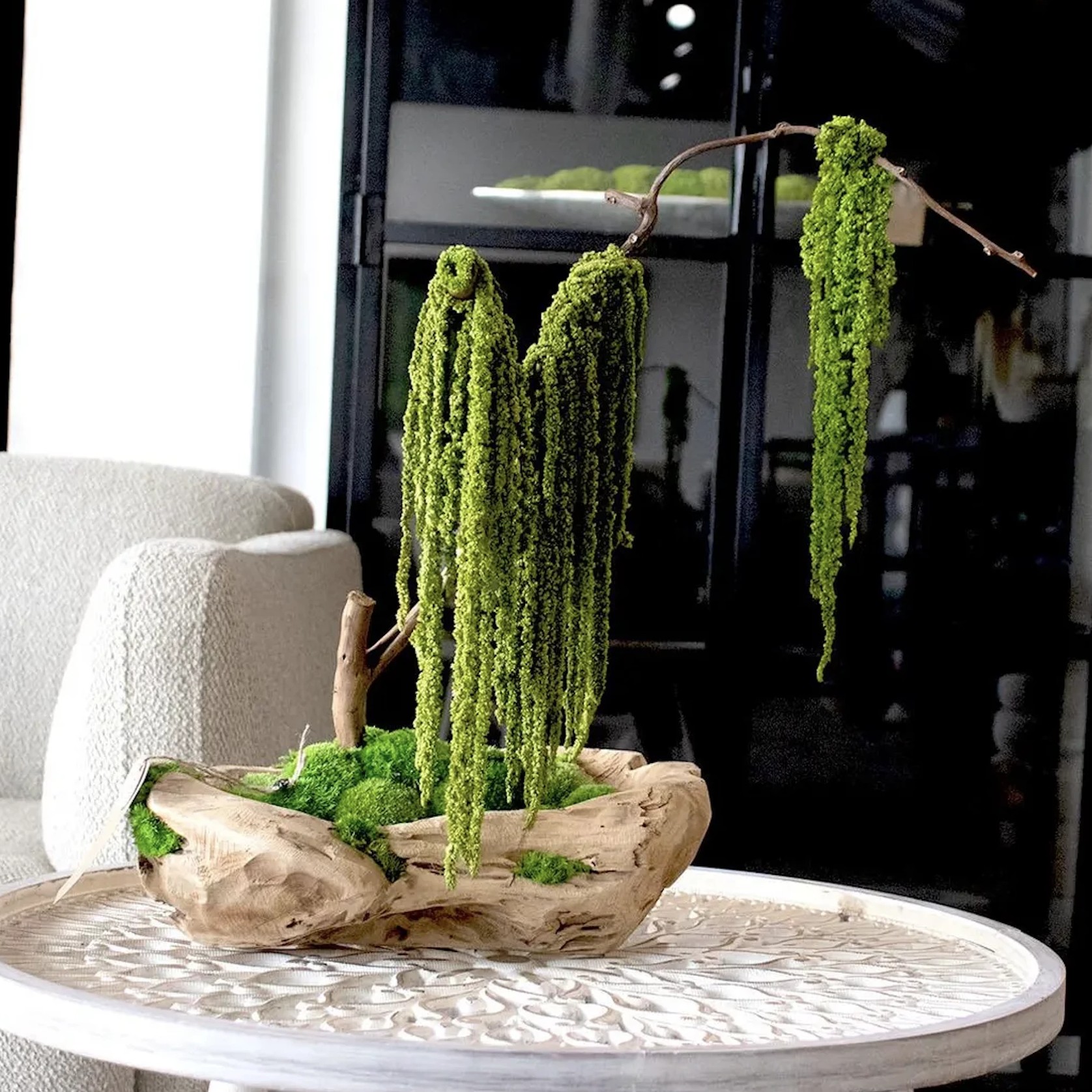 Green Moss Bonsai Tree gallery detail image