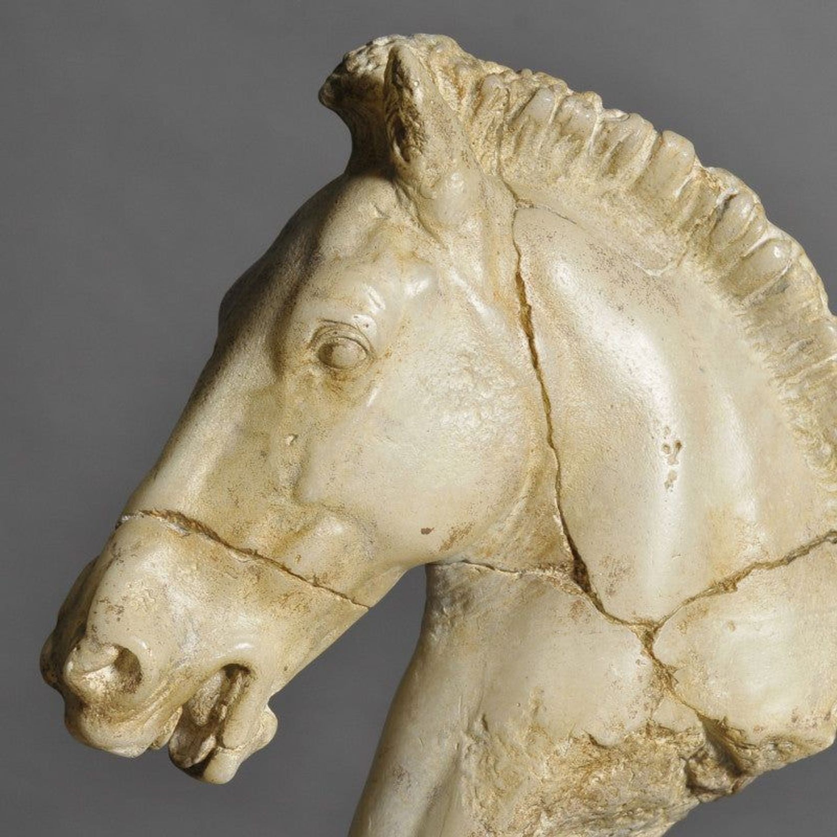 Monti's Horse Head gallery detail image