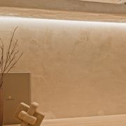 Vienna (Marmorino Fine) | Venetian Plaster gallery detail image