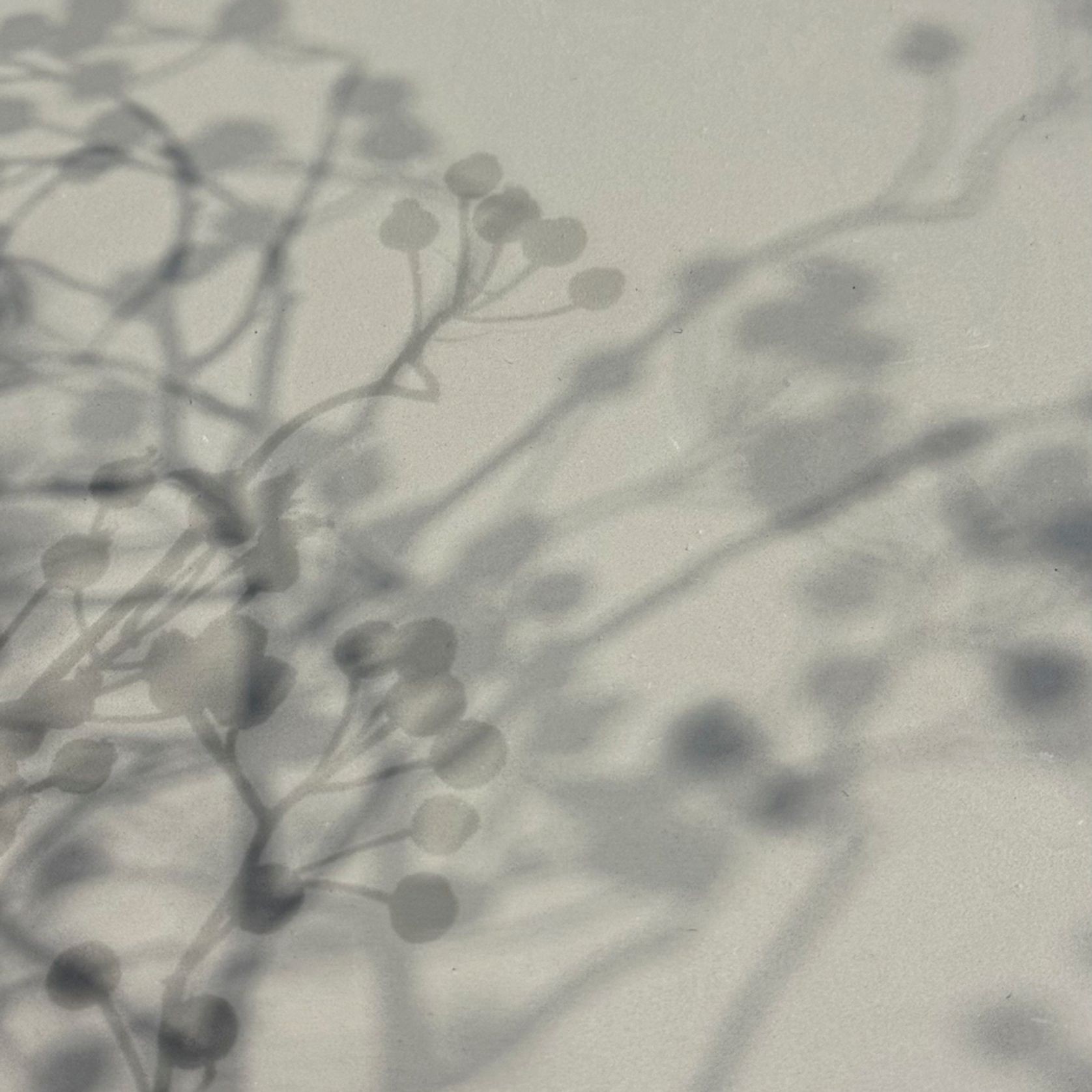 Polished Plaster | Apollo Grey gallery detail image