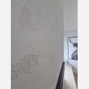 Rockcote Otsumigaki Japanese Clay/Lime Finishes gallery detail image