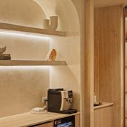 Vienna (Marmorino Fine) | Venetian Plaster gallery detail image