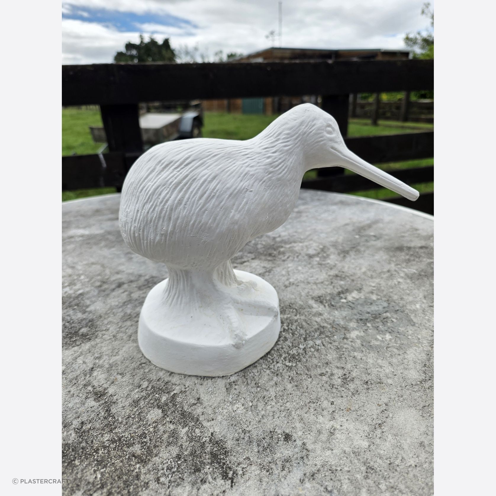 Fibrous Plaster Kiwi bird