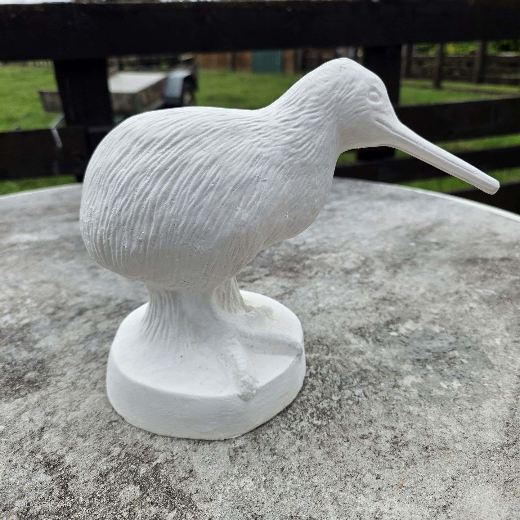 Fibrous Plaster Kiwi bird