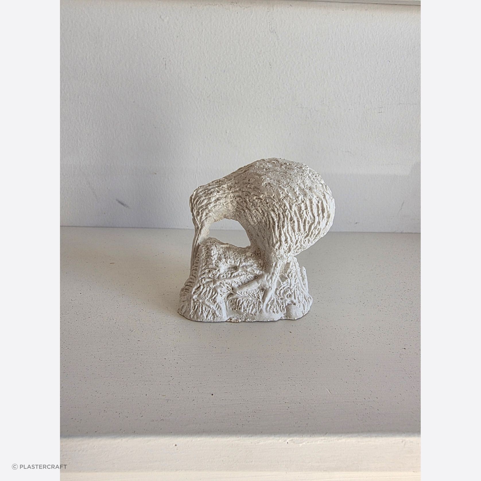 Fibrous Plaster Decorative Kiwi