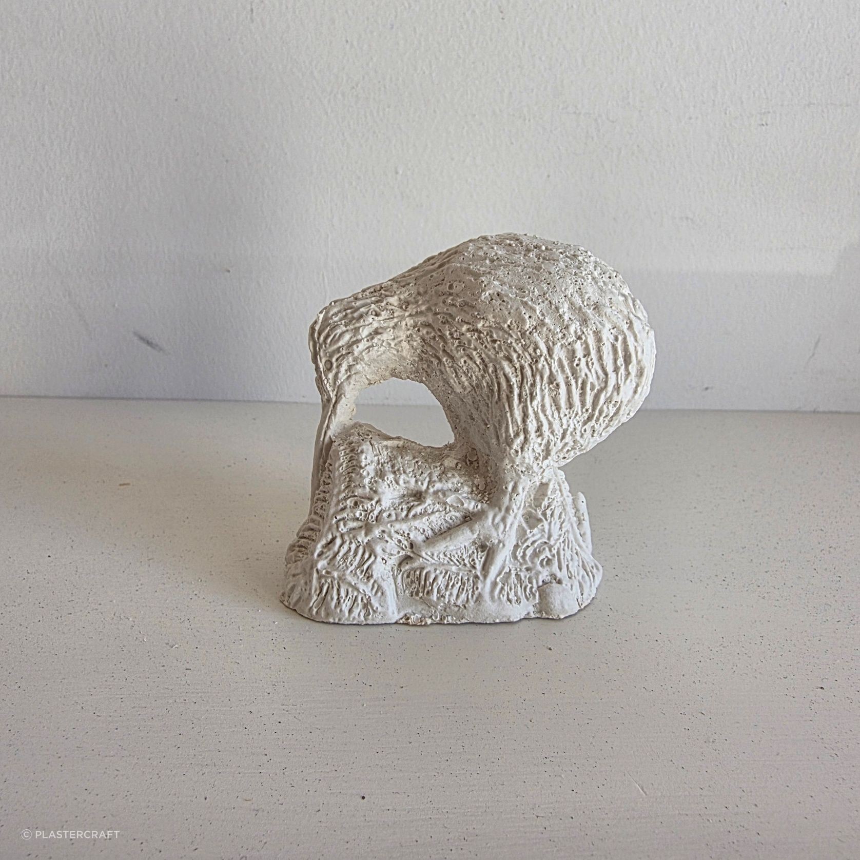 Fibrous Plaster Decorative Kiwi