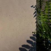 SuaveStone Polished Plaster gallery detail image