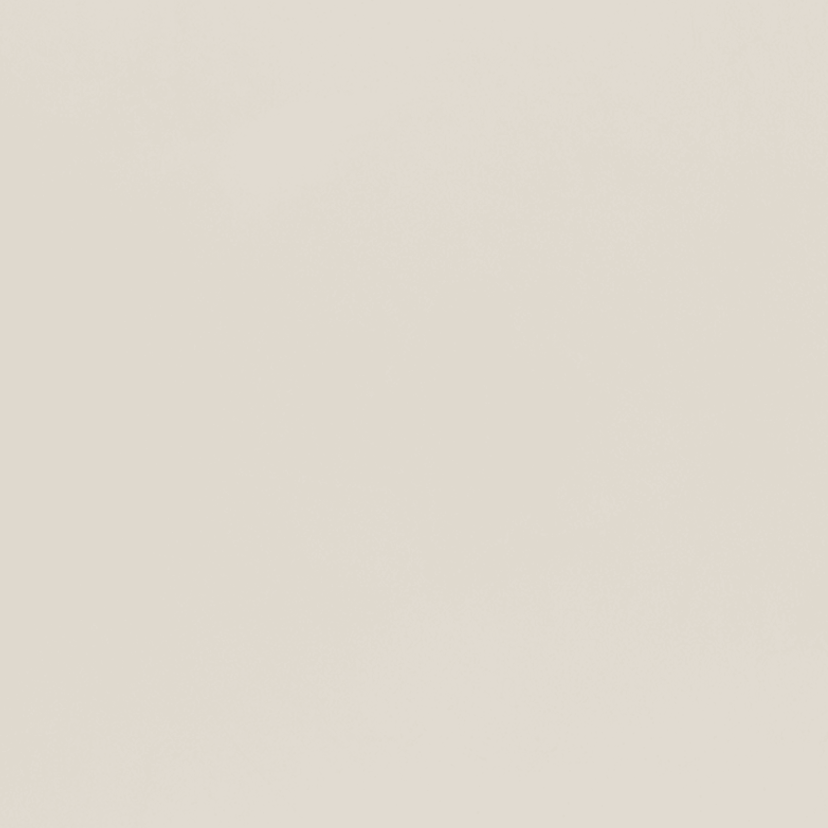 Polished Plaster | Palace White gallery detail image