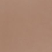 Polished Plaster | Corinthian Clay gallery detail image