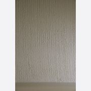 Rio (Marmorino Coarse) | Venetian Plaster gallery detail image