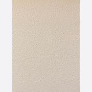 Duro Clay Plaster gallery detail image