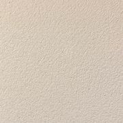 Duro Clay Plaster gallery detail image