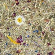 Organoid® Natural Surfaces gallery detail image