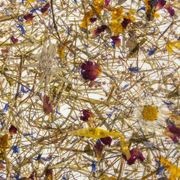 Organoid® Natural Surfaces gallery detail image