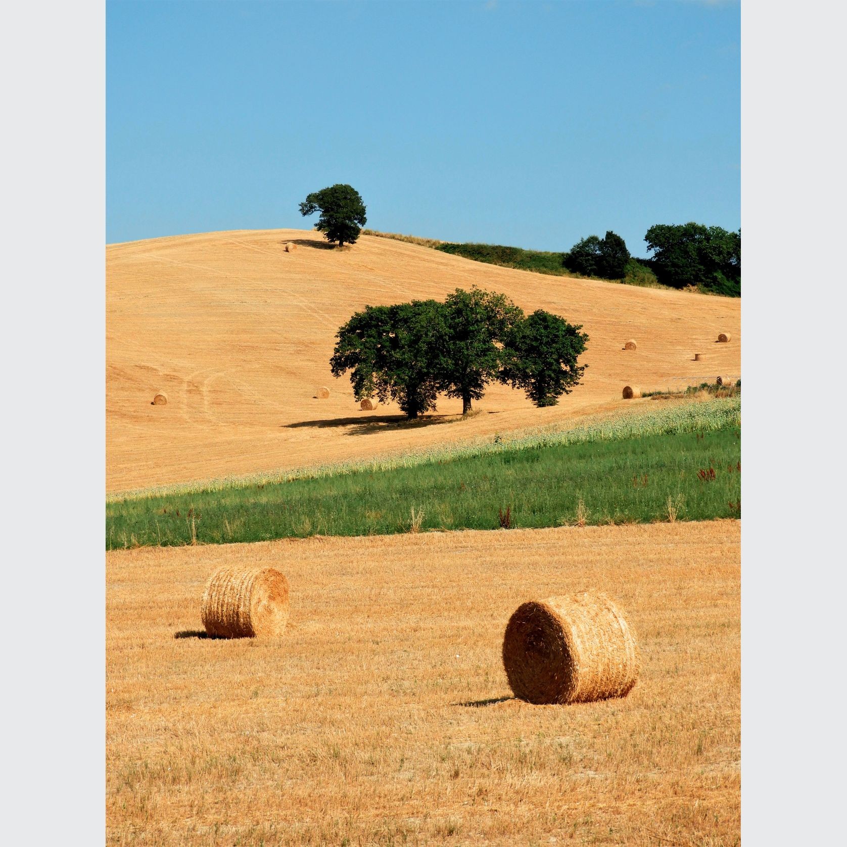 Sensi Colore | Porcelain Tiles gallery detail image