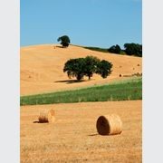 Sensi Colore | Porcelain Tiles gallery detail image