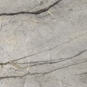 Mystone Silver Root | Porcelain Tiles gallery detail image