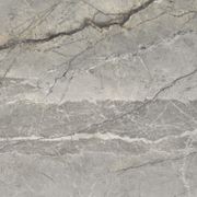 Mystone Silver Root | Porcelain Tiles gallery detail image